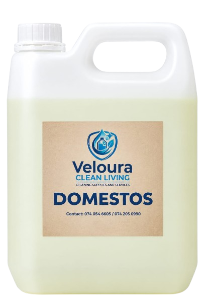 5L Domestos